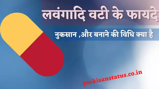 lavangadi vati benefits in hindi