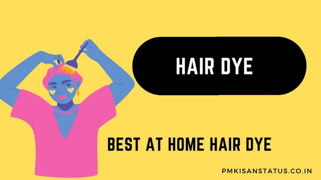 Best at Home Hair Dye